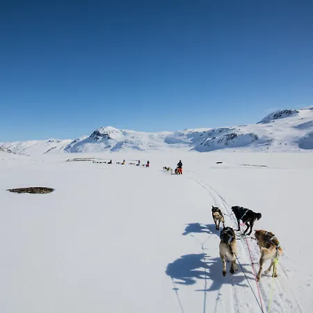 別荘 Your Perfect Base In Sleeps 8! *