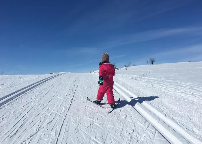 Vakantiehuis Your Perfect Base In Beitostølen Sleeps 8!
